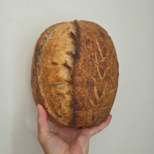 Beginner sourdough bread loaf with a golden crust and scored ear, held in one hand