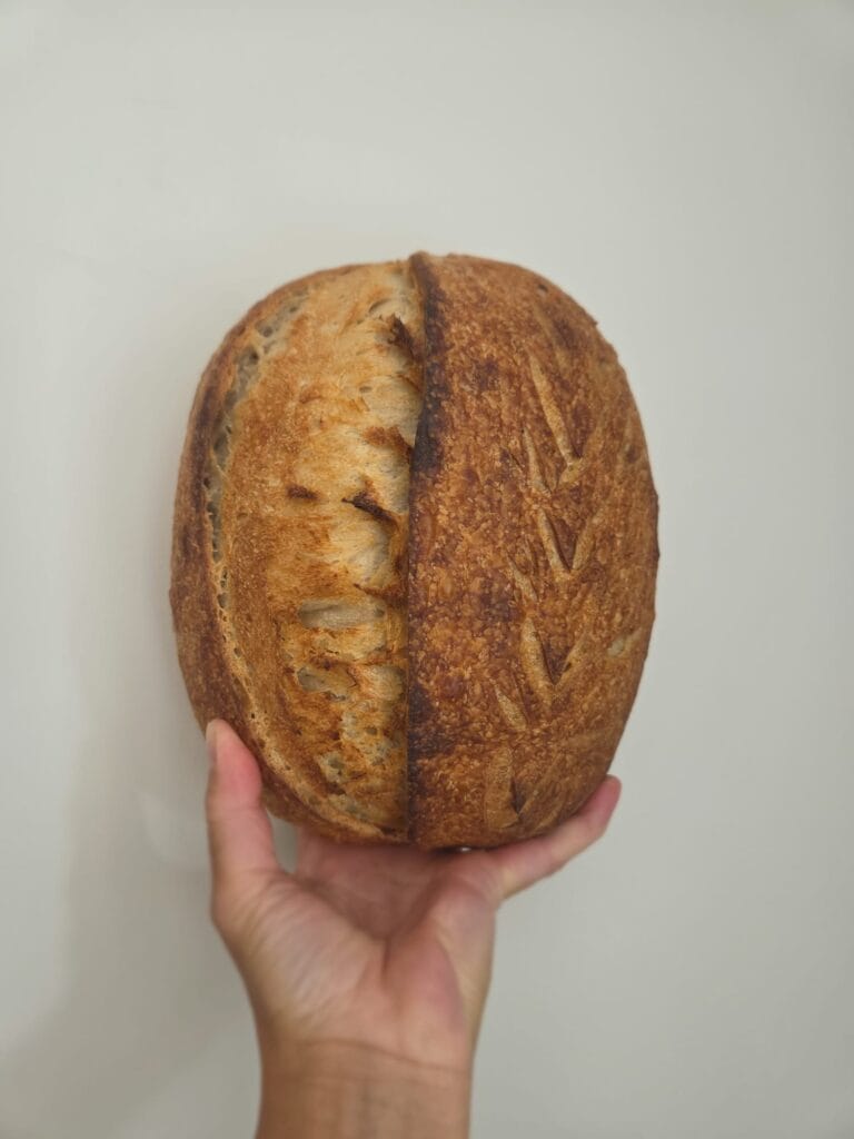 Beginner sourdough bread loaf with a golden crust and scored ear, held in one hand