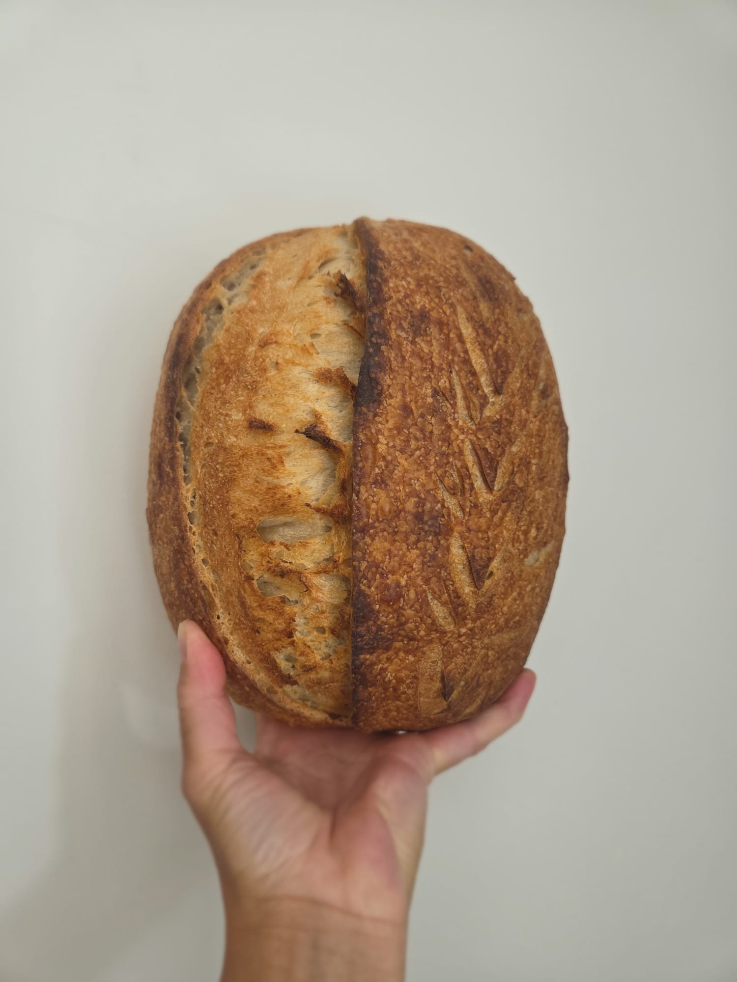 Beginner sourdough bread loaf with a golden crust and scored ear, held in one hand