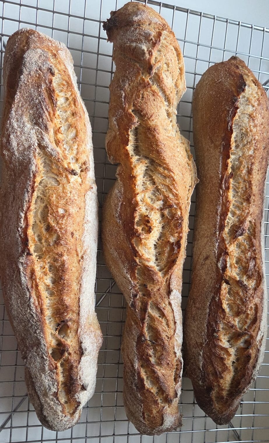 Crusty sourdough baguettes with a scored ear, cooling on a wire rack