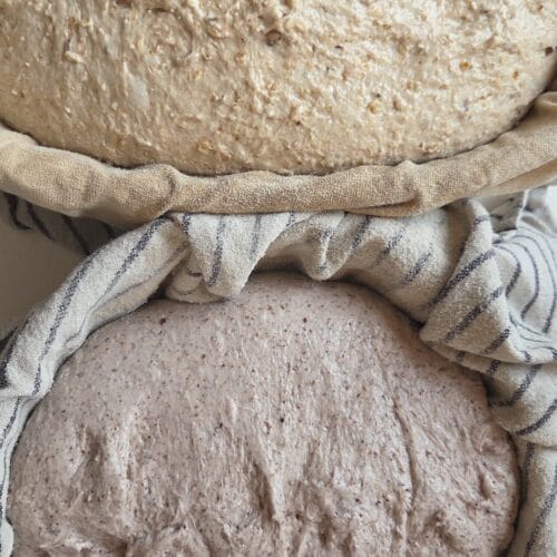 Sourdough shaped and resting in a banneton proofing basket