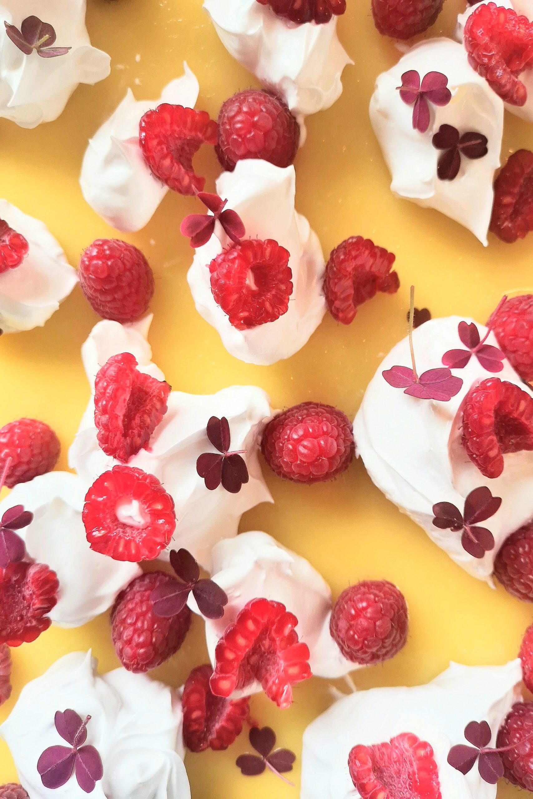 Whole lemon tart with torched Italian meringue peaks, topped with raspberries and wood sorrel