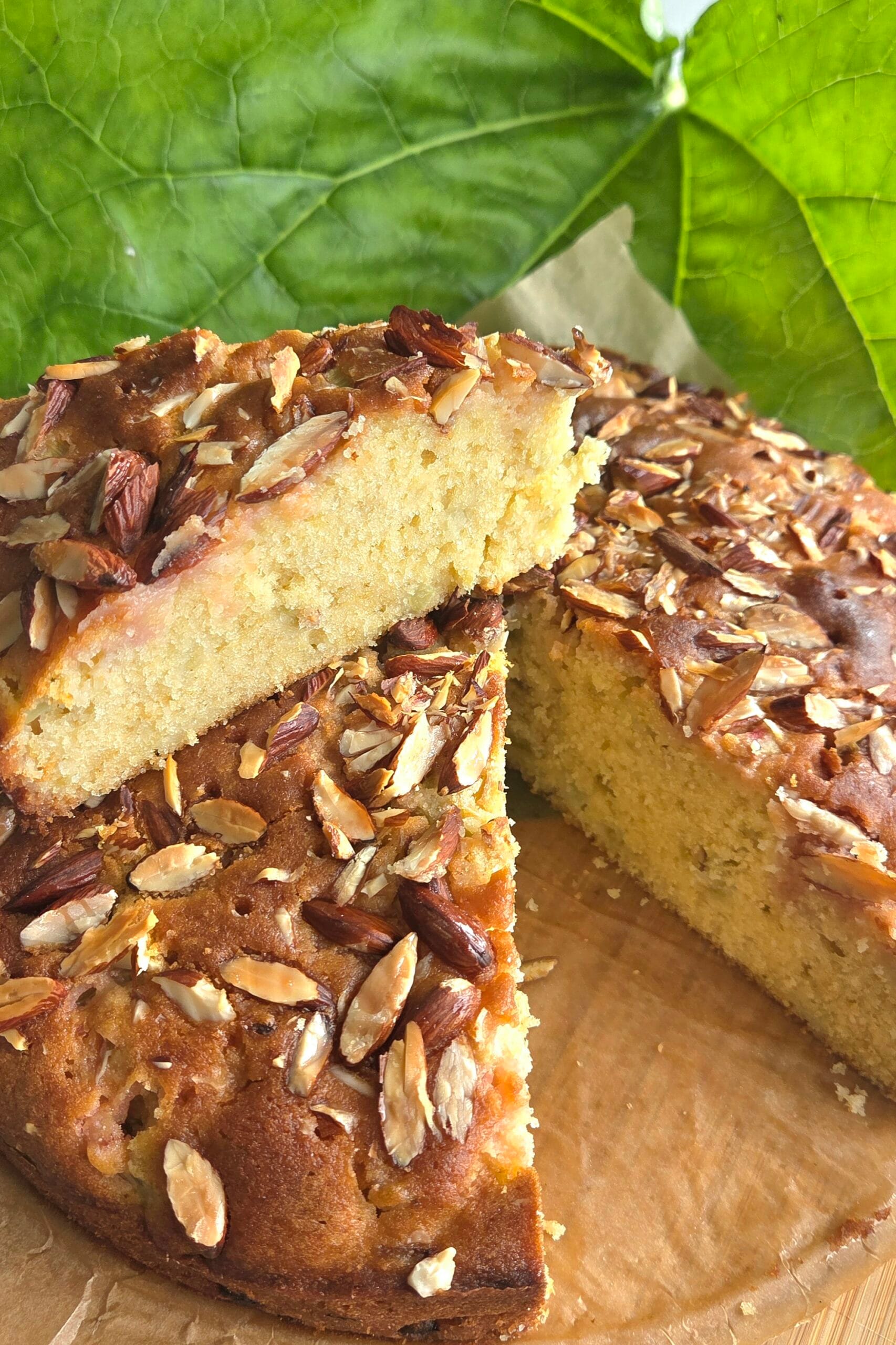 Whole easy rhubarb cake with a golden toasted almond top, fresh out of the springform pan