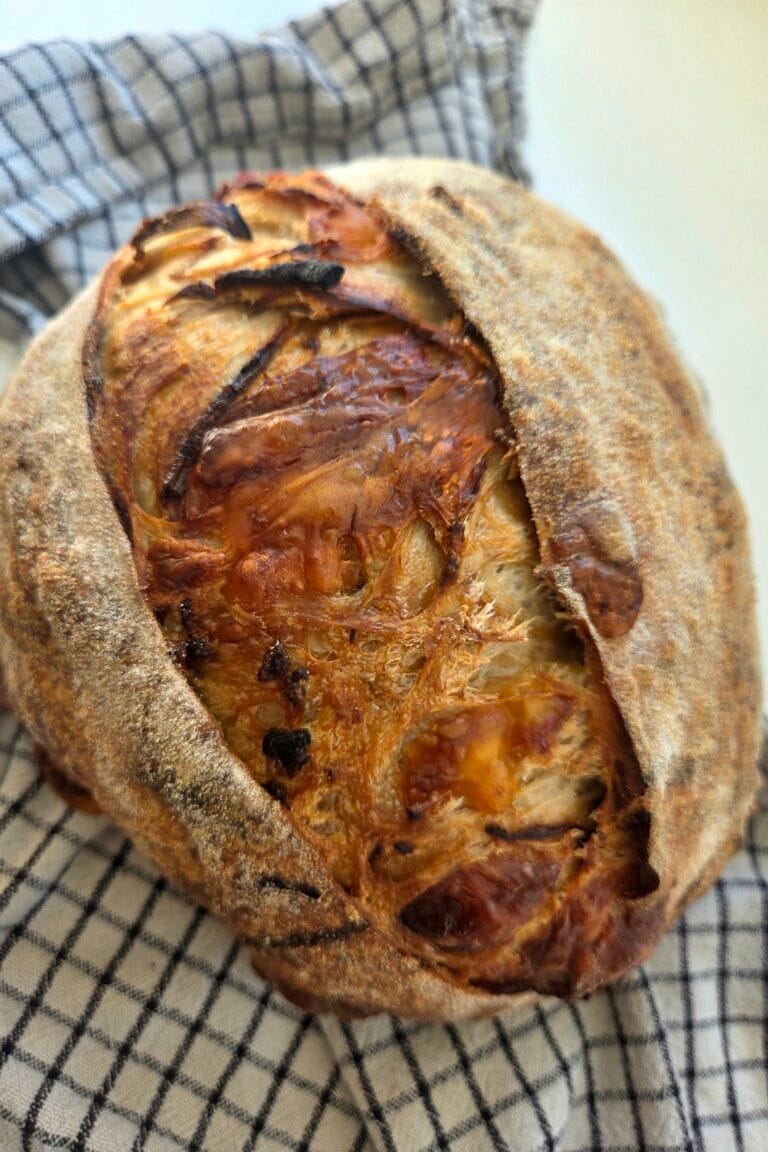 Caramelized onion sourdough bread with Jarlsberg, deeply scored with a raised ear, resting on a checked linen towel