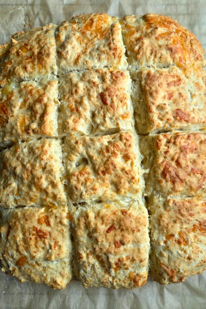 Baked cheese scones in one golden slab, cut into squares with browned cheese on top