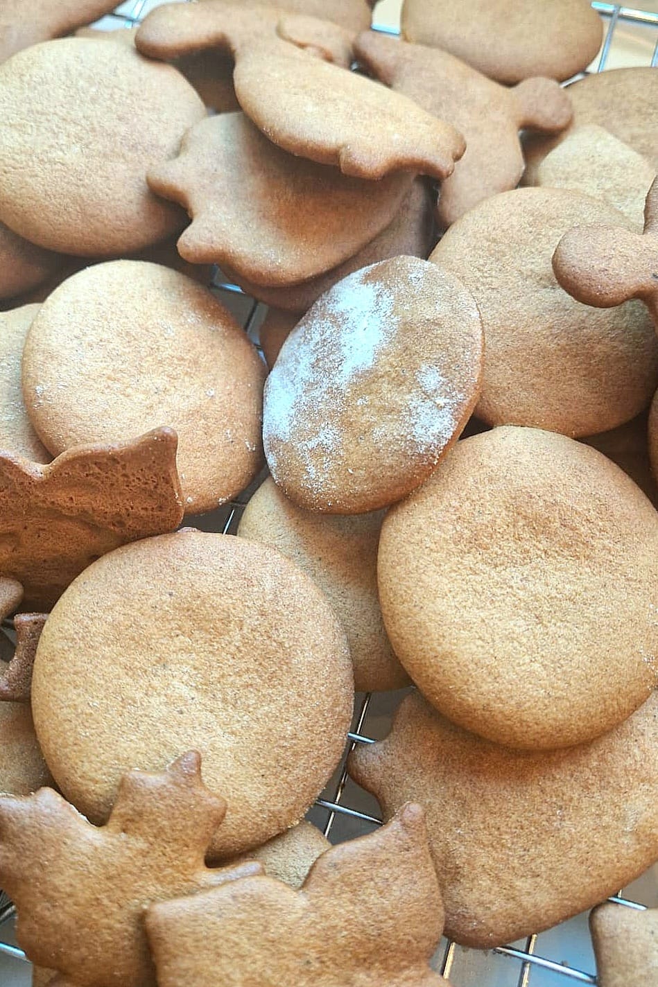 Freshly baked pepperkaker, crisp Norwegian gingerbread cookies cooling on a wire rack