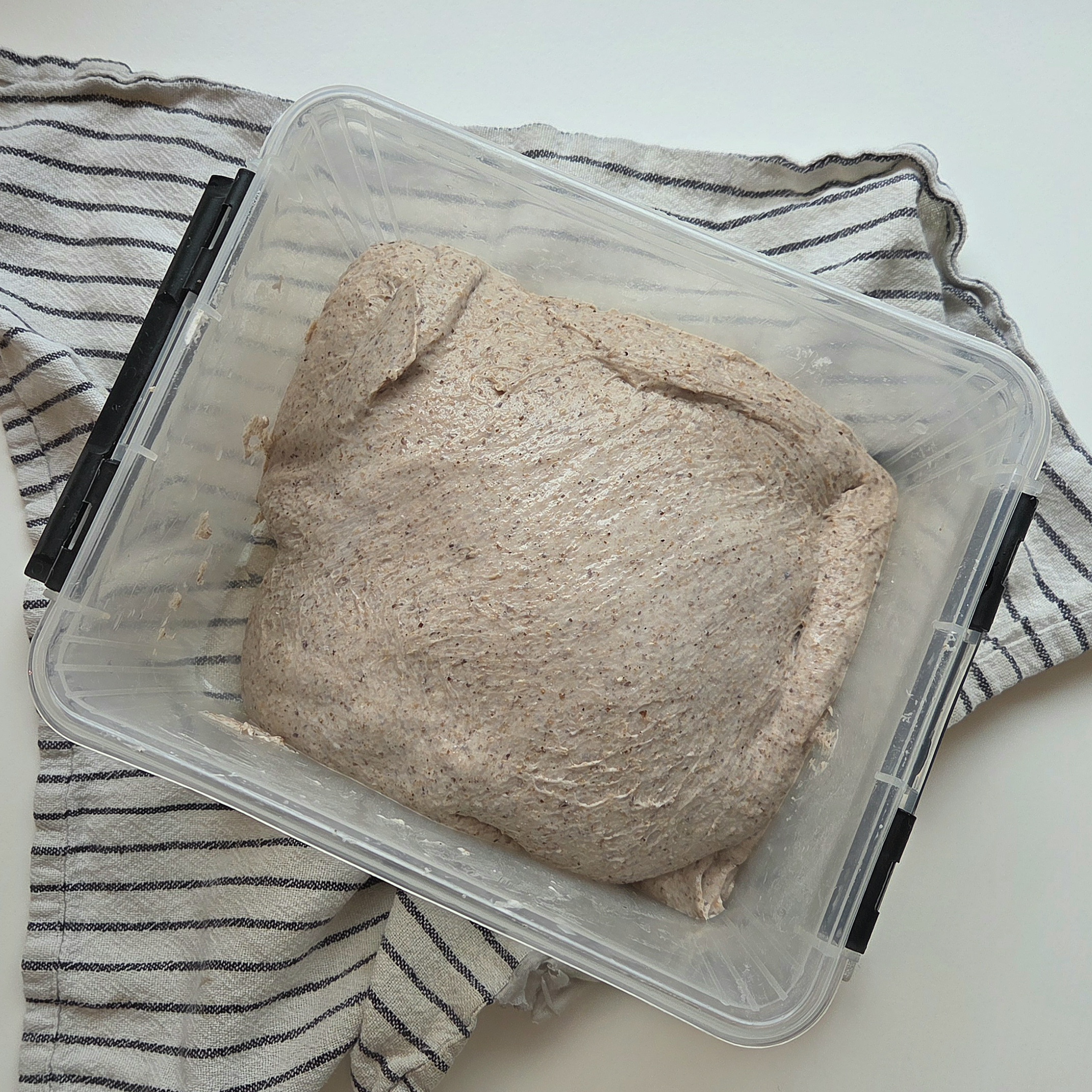 Sourdough during bulk fermentation, resting in a container on a linen towel