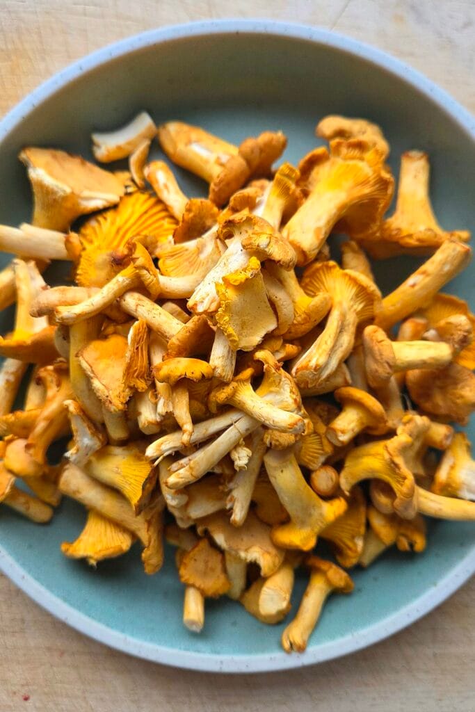 A bowl of cleaned fresh chanterelles ready for cooking