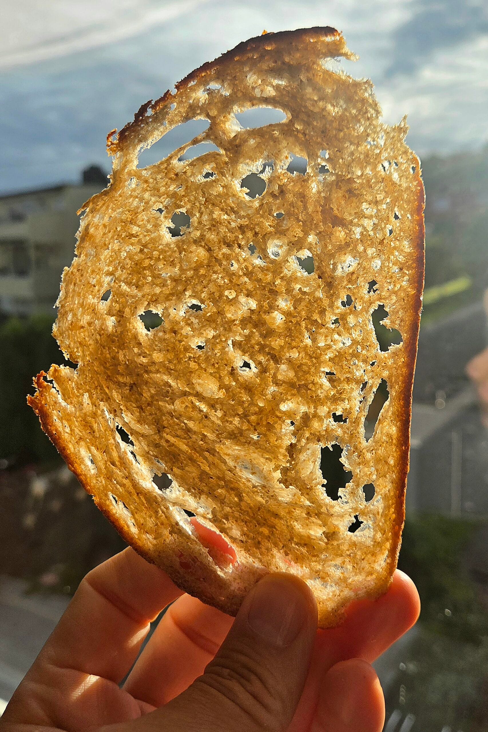 A paper-thin slice of two-day-old sourdough held to the light, showing the open crumb used for sourdough-crusted salmon