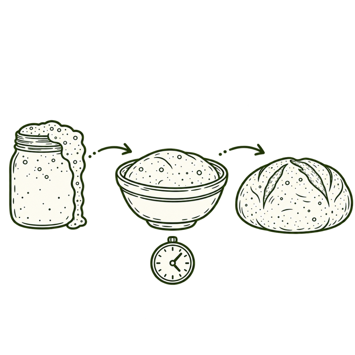 Illustration of a sourdough starter, a mixing bowl and a shaped loaf in sequence, showing the baking timeline