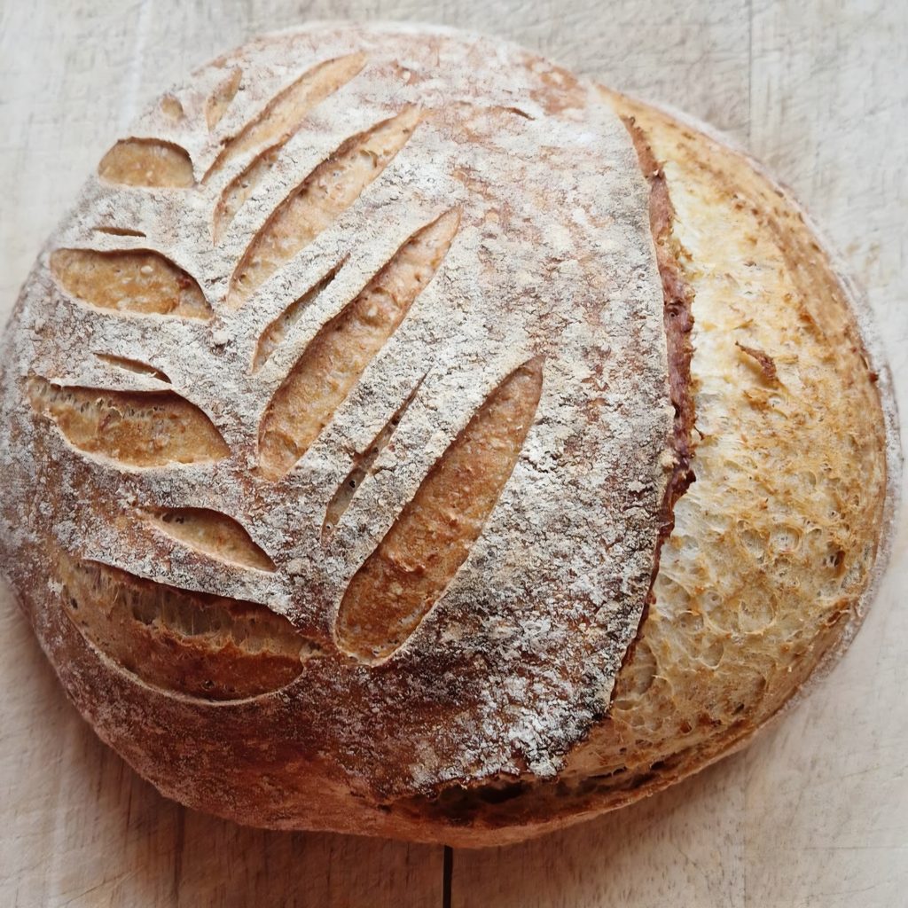 Scored sourdough loaf with a raised ear and golden crust, showing where the cut opened in the oven