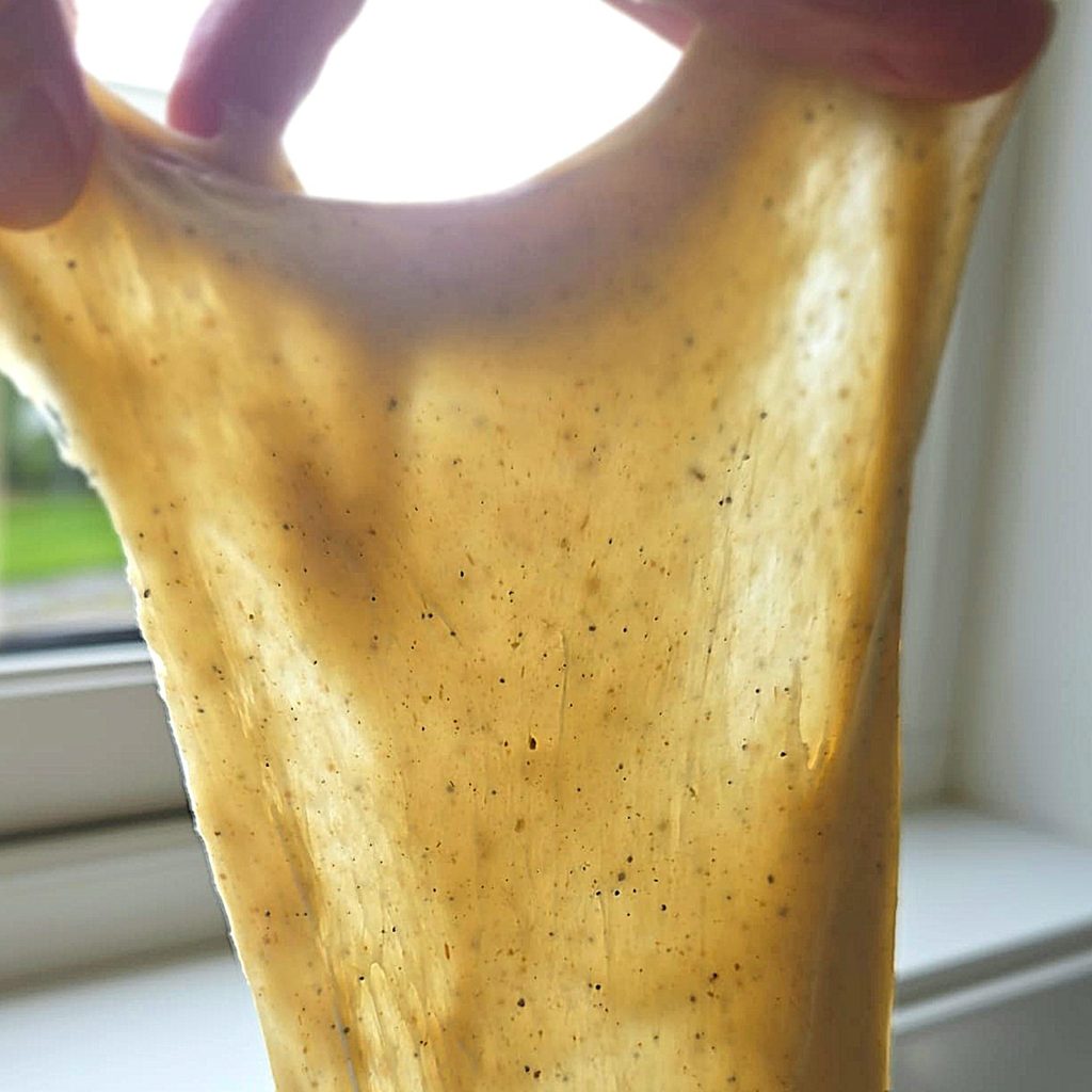Windowpane test on whole grain sourdough dough — stretched thin enough to let daylight through without tearing